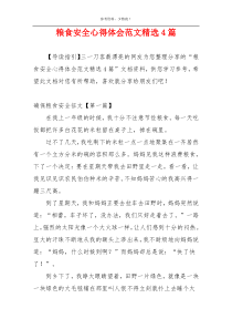 粮食安全心得体会范文精选4篇