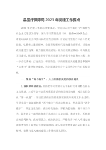 县医疗保障局2023年党建工作要点