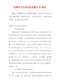 县委民主生活会征求意见【5篇】