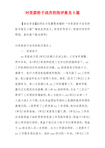对党委班子成员的批评意见5篇