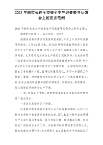 2023年副市长在全市安全生产巡查督导反馈会上的发言范例