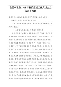 县委书记在2023年省委巡视工作反馈会上的发言范例