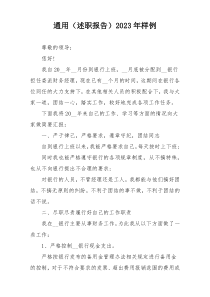通用（述职报告）2023年样例