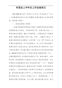 村党总上半年支工作总结范文