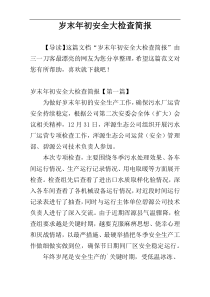 岁末年初安全大检查简报