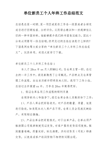 单位新员工个人年终工作总结范文