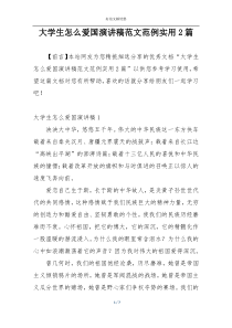 大学生怎么爱国演讲稿范文范例实用2篇
