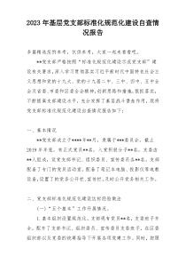 2023年基层党支部标准化规范化建设自查情况报告