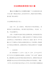 文化体制改革攻坚计划5篇