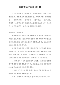总经理的工作规划3篇