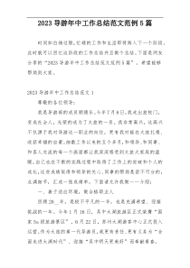 2023导游年中工作总结范文范例5篇