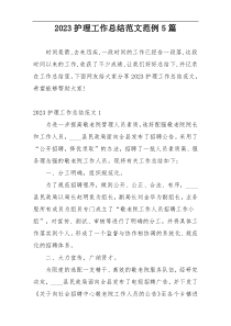 2023护理工作总结范文范例5篇