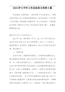 2023护士半年工作总结范文范例5篇