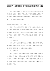 2023护士试用期转正工作总结范文范例5篇