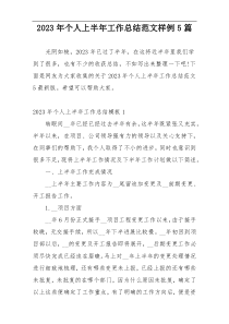 2023年个人上半年工作总结范文样例5篇