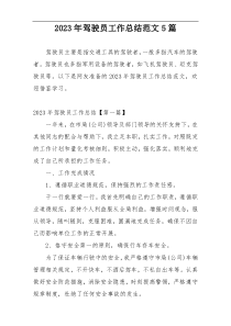 2023年驾驶员工作总结范文5篇