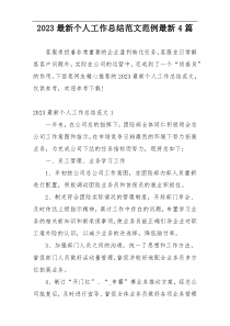 2023最新个人工作总结范文范例最新4篇