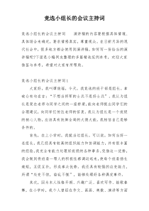 竞选小组长的会议主持词