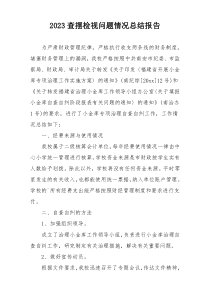 2023查摆检视问题情况总结报告