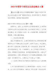 2023年领导干部民生生活会集合4篇