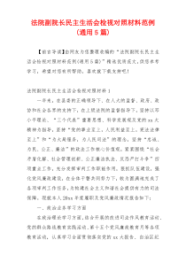 法院副院长民主生活会检视对照材料范例(通用5篇)