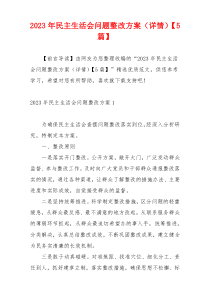 2023年民主生活会问题整改方案（详情）【5篇】