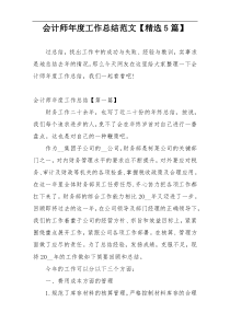会计师年度工作总结范文【精选5篇】