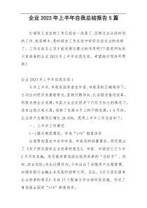 企业2023年上半年自我总结报告5篇