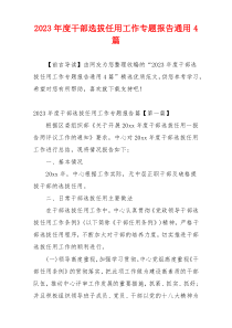 2023年度干部选拔任用工作专题报告通用4篇