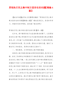 贯彻执行民主集中制方面存在的问题【精编4篇】