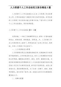人力资源个人工作总结范文报告精选5篇