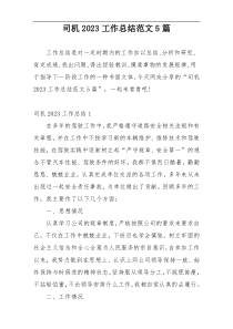 司机2023工作总结范文5篇