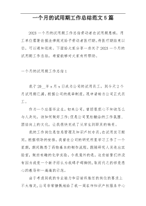 一个月的试用期工作总结范文5篇