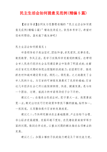 民主生活会如何提意见范例(精编5篇)