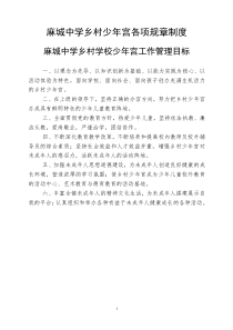 麻城中学乡村少年宫各项规章制度汇编（DOC34页）