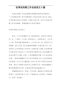 优秀试用期工作总结范文5篇