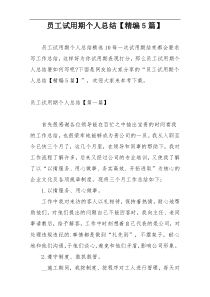 员工试用期个人总结【精编5篇】
