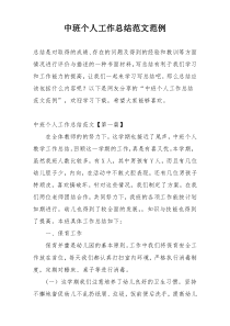 中班个人工作总结范文范例