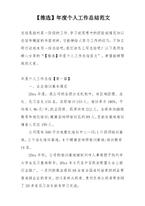 【推选】年度个人工作总结范文