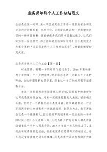 业务员年终个人工作总结范文