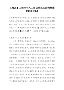 【精品】工程师个人工作总结范文范例集聚【实用5篇】