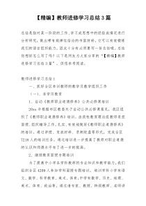 【精编】教师进修学习总结3篇