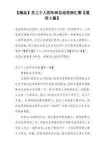 【精品】员工个人的年终总结范例汇聚【通用5篇】