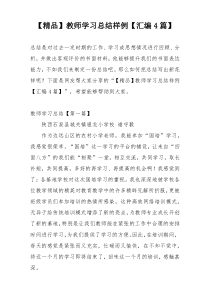 【精品】教师学习总结样例【汇编4篇】