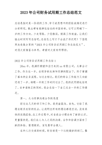 2023年公司财务试用期工作总结范文