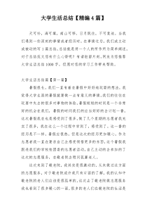 大学生活总结【精编4篇】