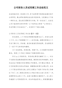公司财务人员试用期工作总结范文