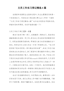 文员工作实习周记精选4篇