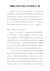 精编公司审计年终工作总结范文3篇