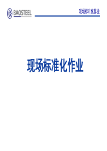 2标准化作业